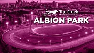 Form Analysis: Albion Park February 27